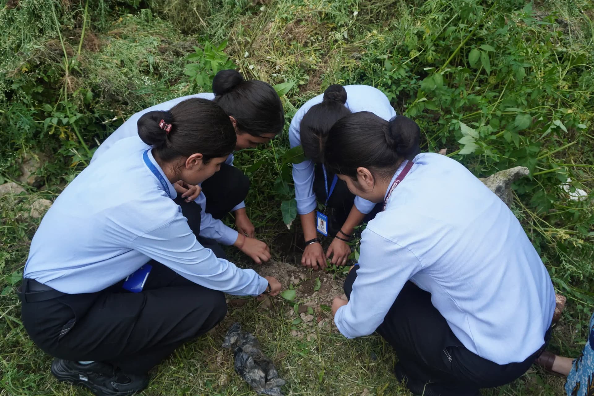 Tree plantation activity during Harela at Siddhartha Nursing Education & Research Institute, Dehradun with active participation of students