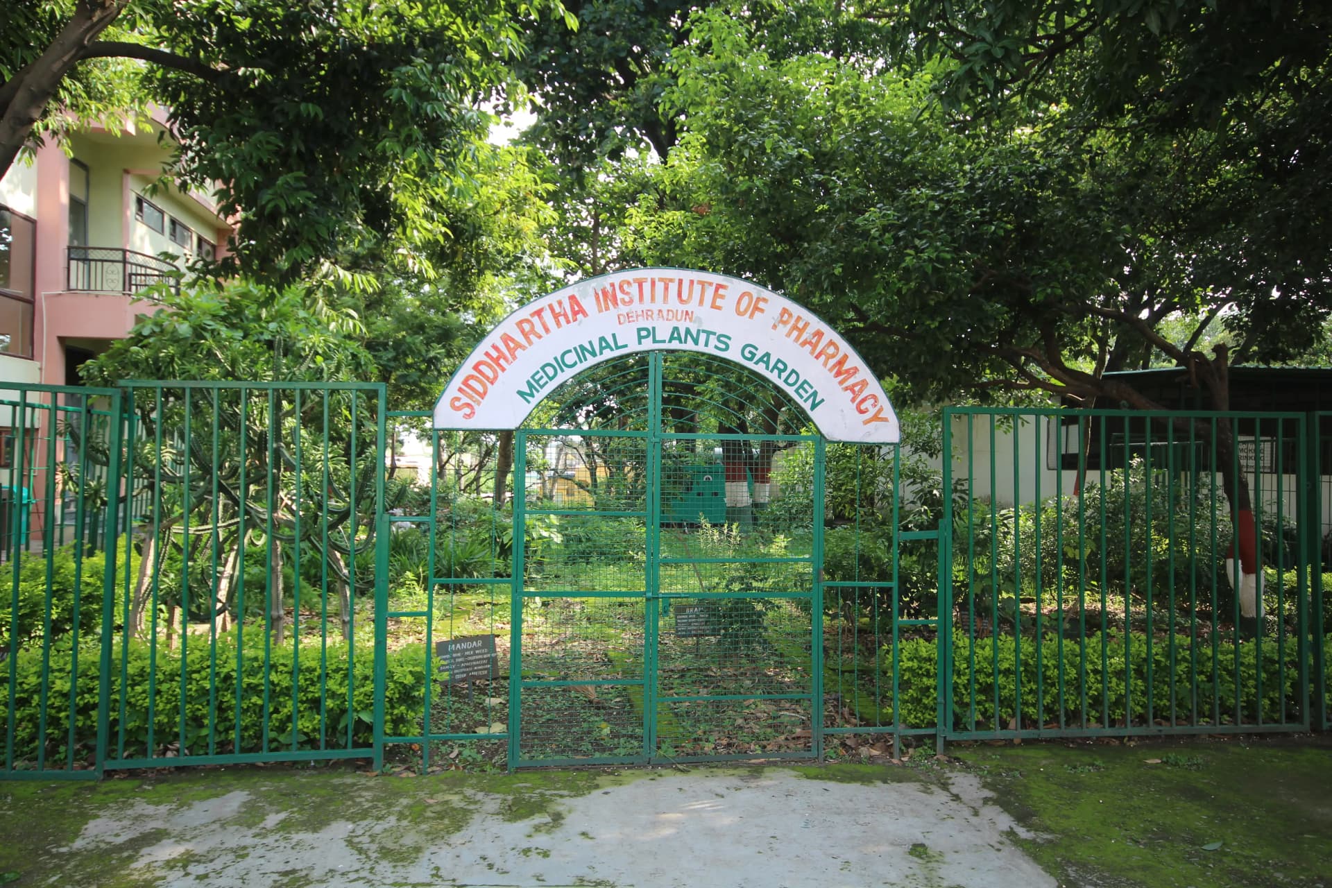 Siddhartha Medicinal Plats Garden